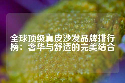 全球顶级真皮沙发品牌排行榜：奢华与舒适的完美结合