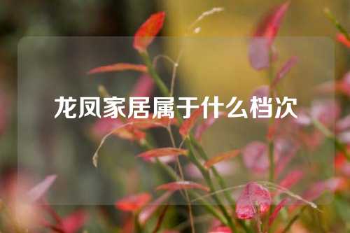 龙凤家居属于什么档次