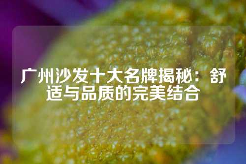 广州沙发十大名牌揭秘：舒适与品质的完美结合