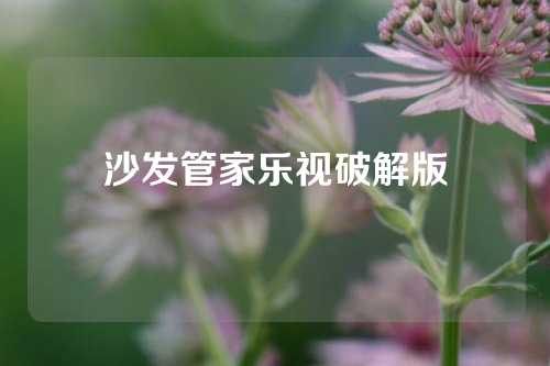 沙发管家乐视破解版