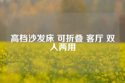 高档沙发床 可折叠 客厅 双人两用