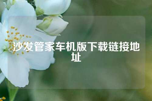 沙发管家车机版下载链接地址