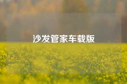 沙发管家车载版