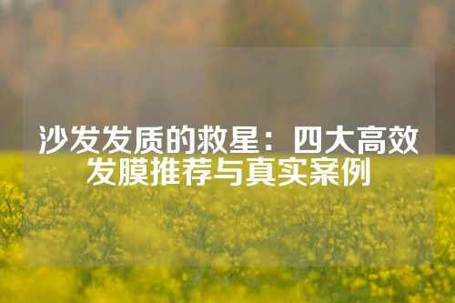 沙发发质的救星：四大高效发膜推荐与真实案例