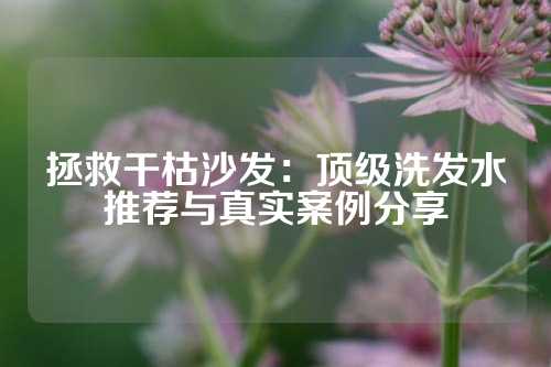 拯救干枯沙发：顶级洗发水推荐与真实案例分享