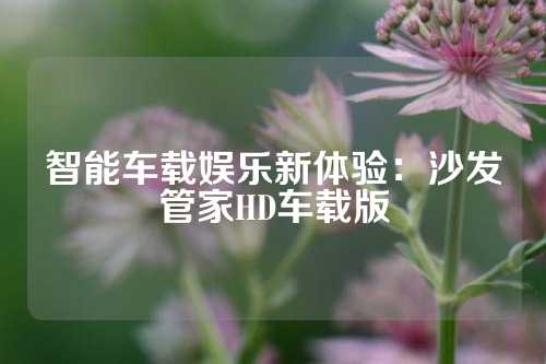 智能车载娱乐新体验：沙发管家HD车载版