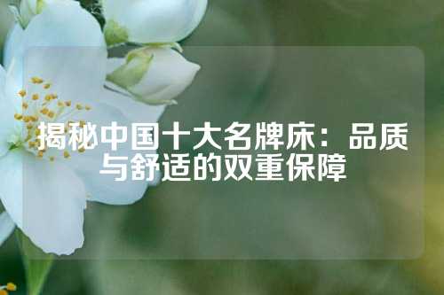 揭秘中国十大名牌床：品质与舒适的双重保障