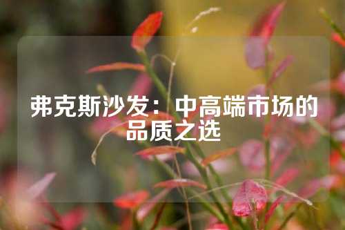 弗克斯沙发：中高端市场的品质之选