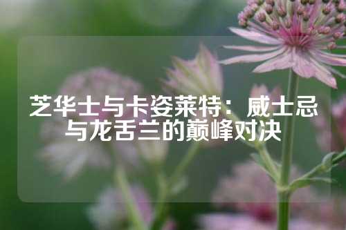 芝华士与卡姿莱特：威士忌与龙舌兰的巅峰对决