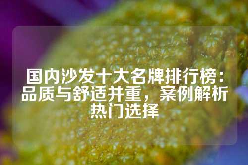 国内沙发十大名牌排行榜:品质与舒适并重,案例解析热门选择