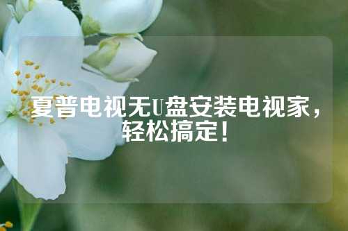 夏普电视无U盘安装电视家，轻松搞定！