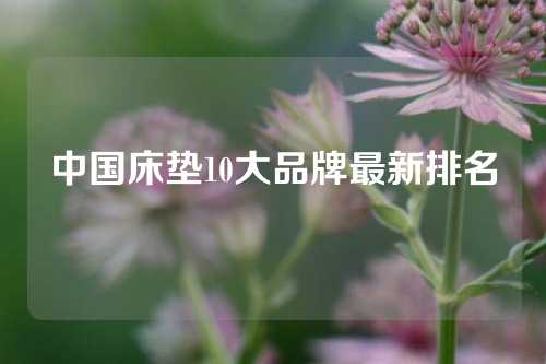 中国床垫10大品牌最新排名