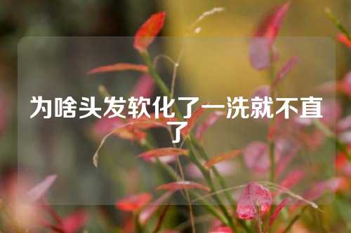 为啥头发软化了一洗就不直了