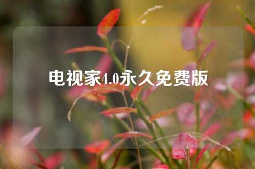 电视家4.0永久免费版