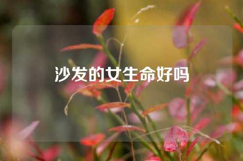 沙发的女生命好吗