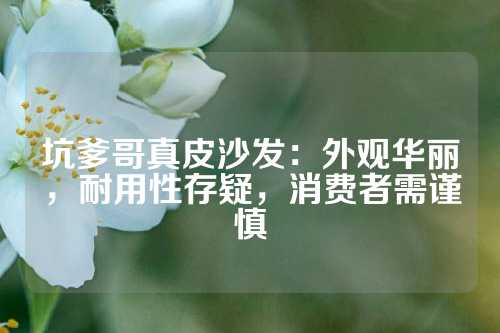 坑爹哥真皮沙发：外观华丽，耐用性存疑，消费者需谨慎