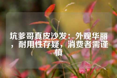坑爹哥真皮沙发：外观华丽，耐用性存疑，消费者需谨慎