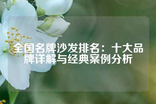 全国名牌沙发排名：十大品牌详解与经典案例分析