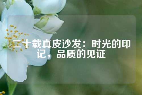 二十载真皮沙发：时光的印记，品质的见证