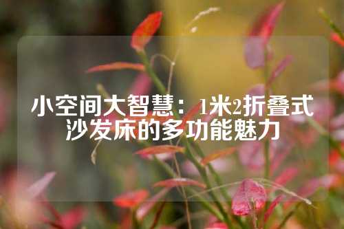 小空间大智慧：1米2折叠式沙发床的多功能魅力