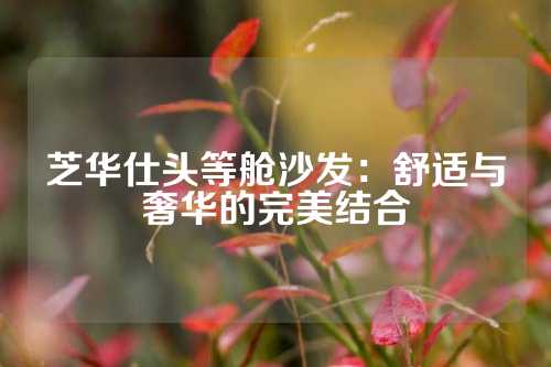 芝华仕头等舱沙发：舒适与奢华的完美结合