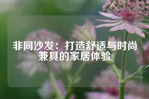 非同沙发：打造舒适与时尚兼具的家居体验