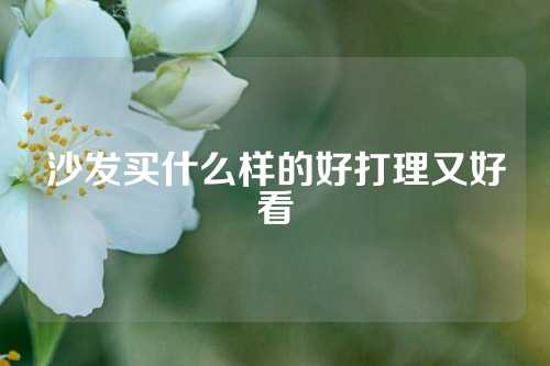 沙发买什么样的好打理又好看
