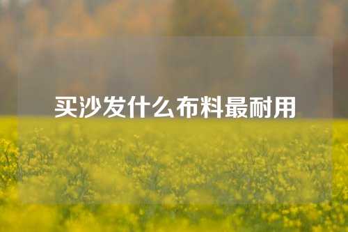 买沙发什么布料最耐用