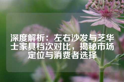 深度解析：左右沙发与芝华士家具档次对比，揭秘市场定位与消费者选择