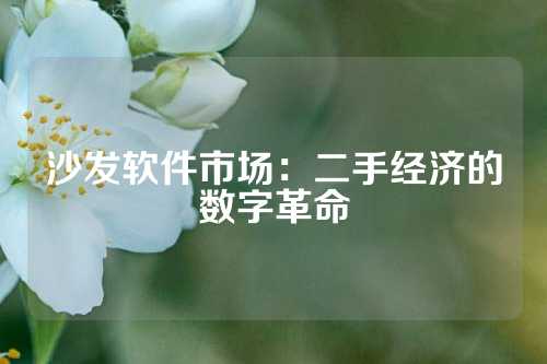 沙发软件市场：二手经济的数字革命