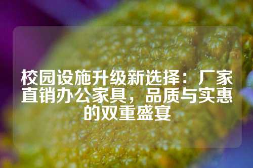 校园设施升级新选择：厂家直销办公家具，品质与实惠的双重盛宴