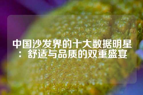 中国沙发界的十大数据明星：舒适与品质的双重盛宴