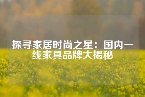 探寻家居时尚之星：国内一线家具品牌大揭秘