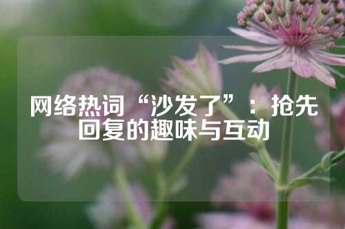 网络热词“沙发了”：抢先回复的趣味与互动