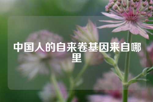 中国人的自来卷基因来自哪里