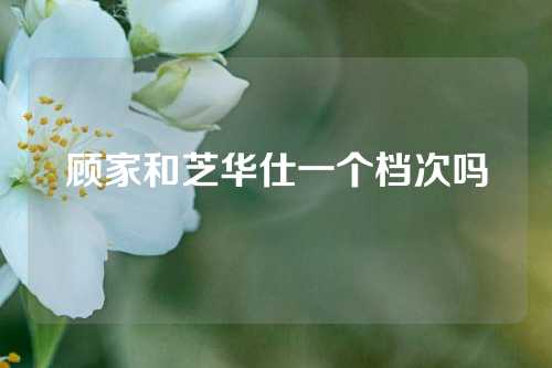 顾家和芝华仕一个档次吗
