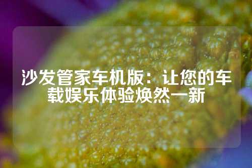 沙发管家车机版：让您的车载娱乐体验焕然一新