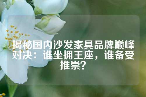 揭秘国内沙发家具品牌巅峰对决：谁坐拥王座，谁备受推崇？