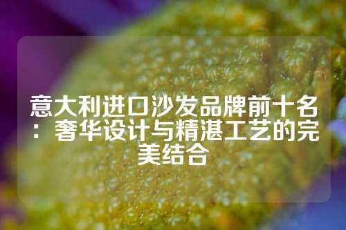 意大利进口沙发品牌前十名：奢华设计与精湛工艺的完美结合