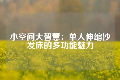 小空间大智慧：单人伸缩沙发床的多功能魅力