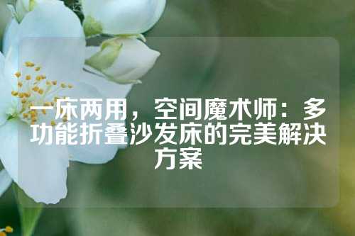 一床两用,空间魔术师:多功能折叠沙发床的完美解决方案