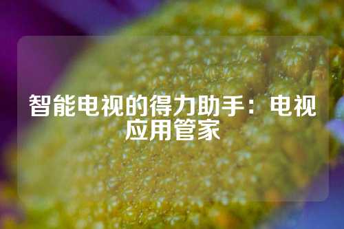 智能电视的得力助手：电视应用管家