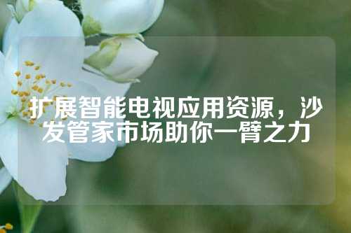 扩展智能电视应用资源,沙发管家市场助你一臂之力