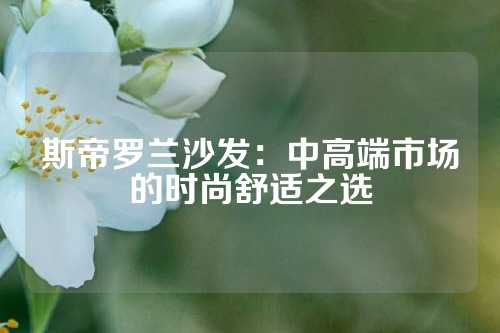 斯帝罗兰沙发：中高端市场的时尚舒适之选