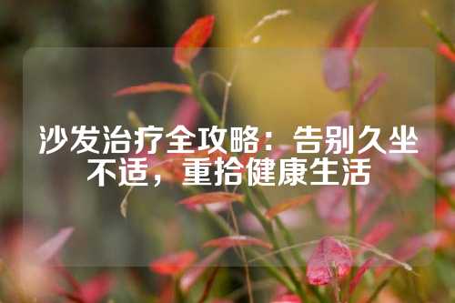 沙发治疗全攻略：告别久坐不适，重拾健康生活