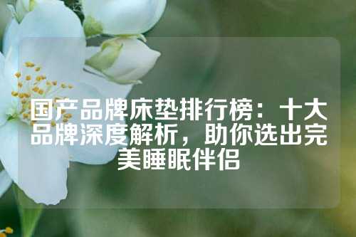 国产品牌床垫排行榜：十大品牌深度解析，助你选出完美睡眠伴侣