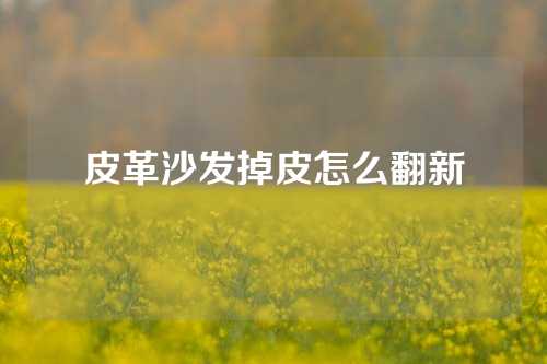 皮革沙发掉皮怎么翻新