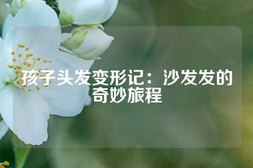 孩子头发变形记：沙发发的奇妙旅程