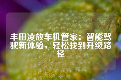 丰田凌放车机管家：智能驾驶新体验，轻松找到升级路径