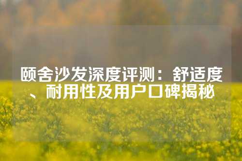 颐舍沙发深度评测：舒适度、耐用性及用户口碑揭秘